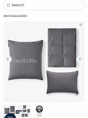 The Company Store Lacrosse Travel Gray Pillow and Throw Set NWT